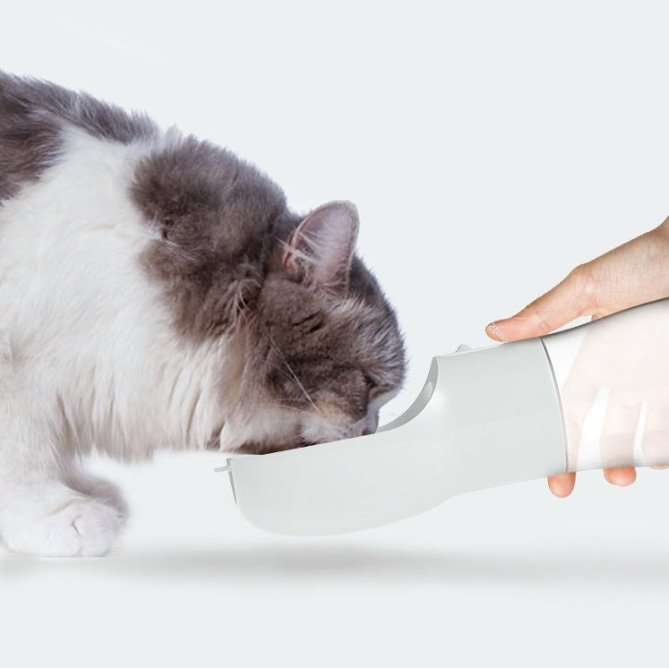 Portable Dog Water Dispenser for travel