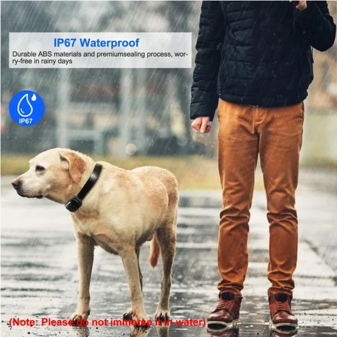 Waterproof Dog Training Collar IP67 receiver