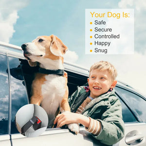 Dog Seat Belt Leash 2-piece set