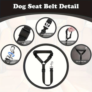 Two-Piece Dog Leash Set convenient for travel