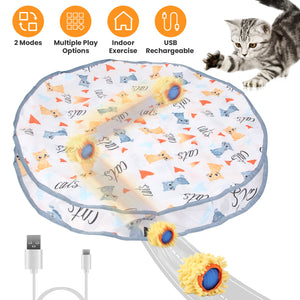 Interactive Cat Ball Toy motion activated
