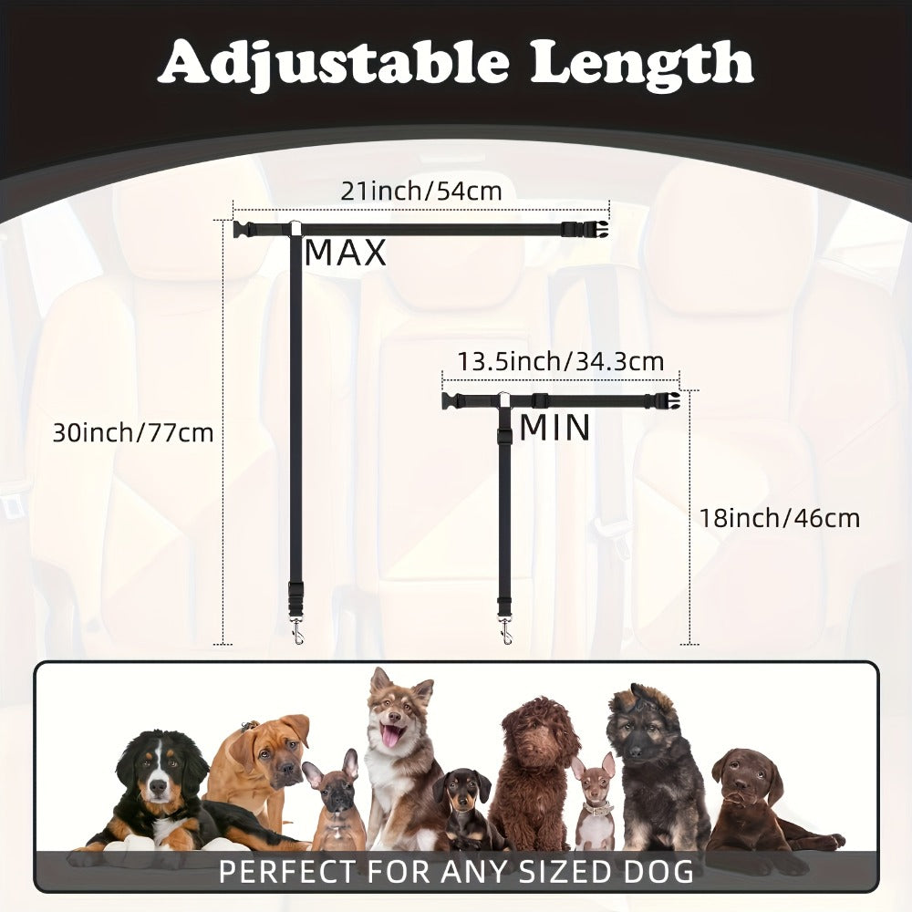 Two-Piece Dog Leash Set convenient for travel