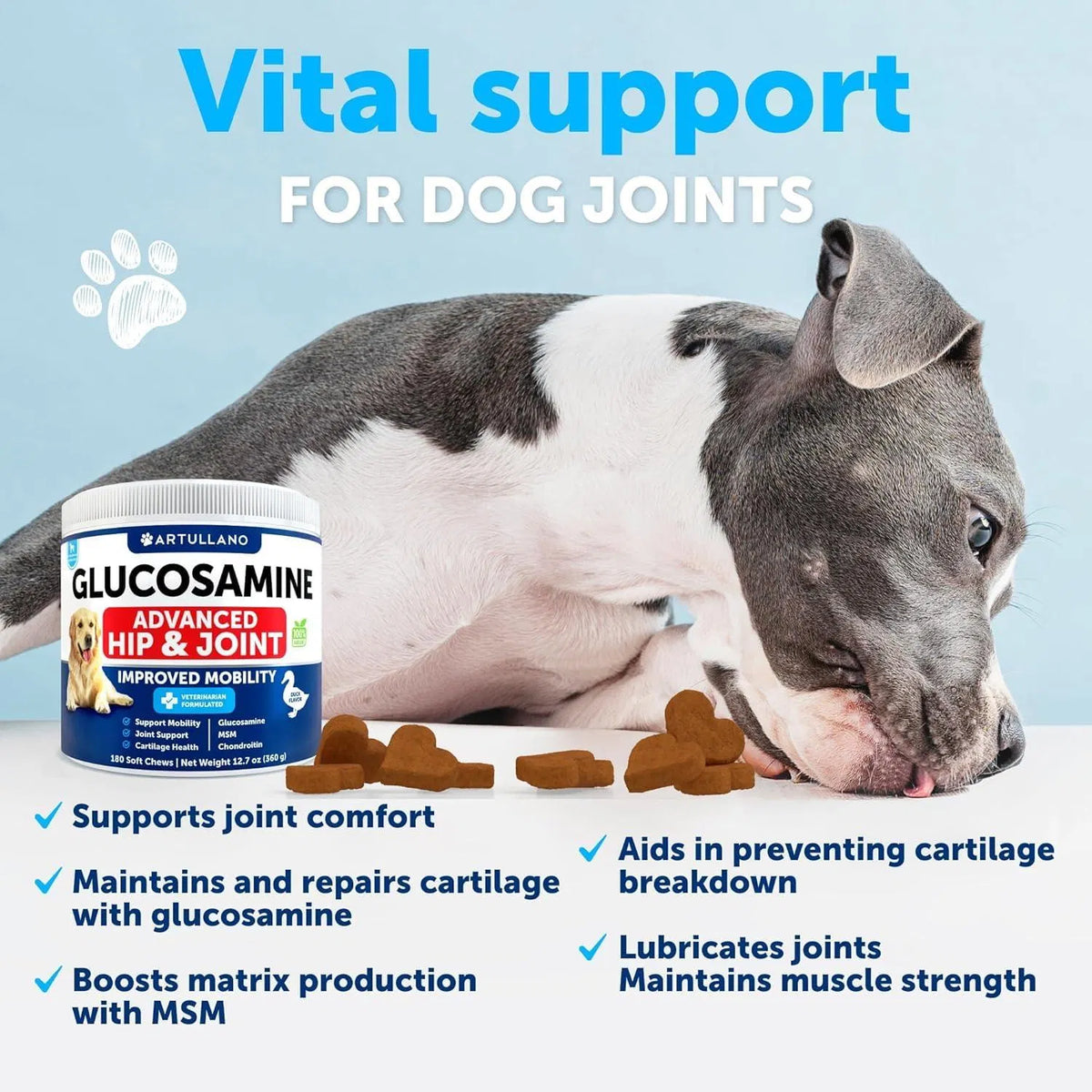 Glucosamine For Dogs Hip And Joint Supplement For Dogs With Arthritis Chews With Chondroitin Hemp Oil MSM Canine Joint Pain Relief Health Mobility Support For Large Breeds 120 Soft Treats