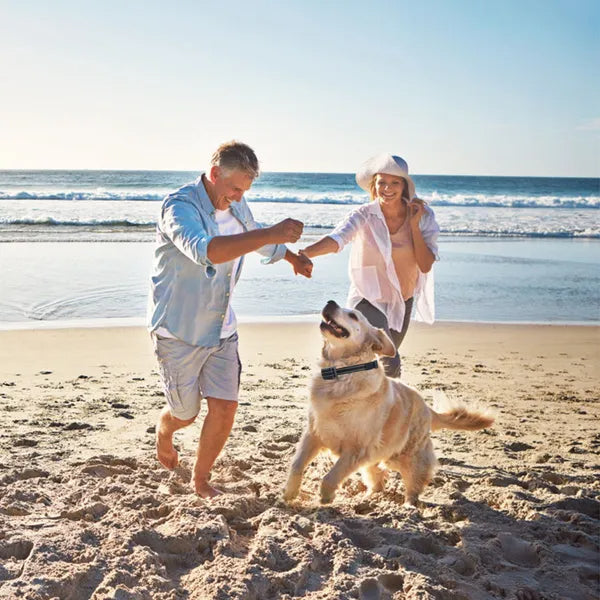 Charge the Dog Training Collar fully before first use.