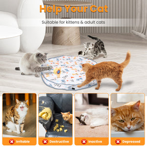 Interactive Cat Ball Toy motion activated