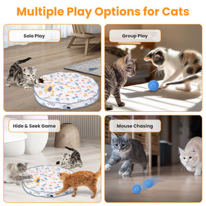 Interactive Cat Ball Toy fast rolling