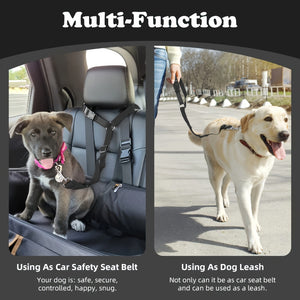 Two-Piece Dog Leash Set convenient for travel