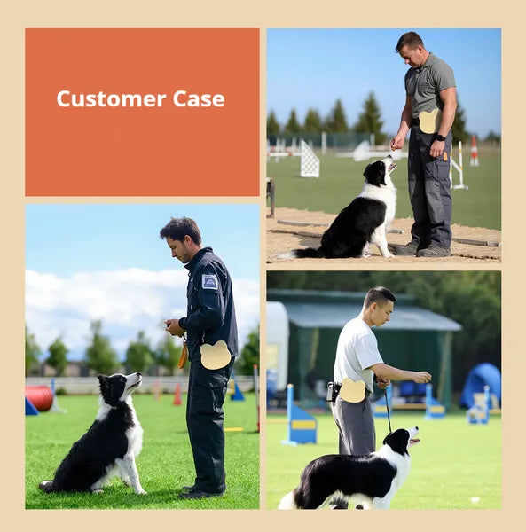 Dog Training Treat Pouch portable with buckle