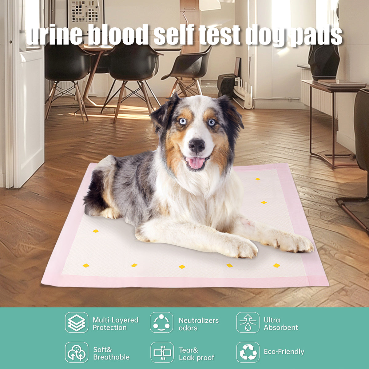 Dog Urine Detection Pad for indoor potty training