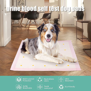 Dog Urine Detection Pad for indoor potty training
