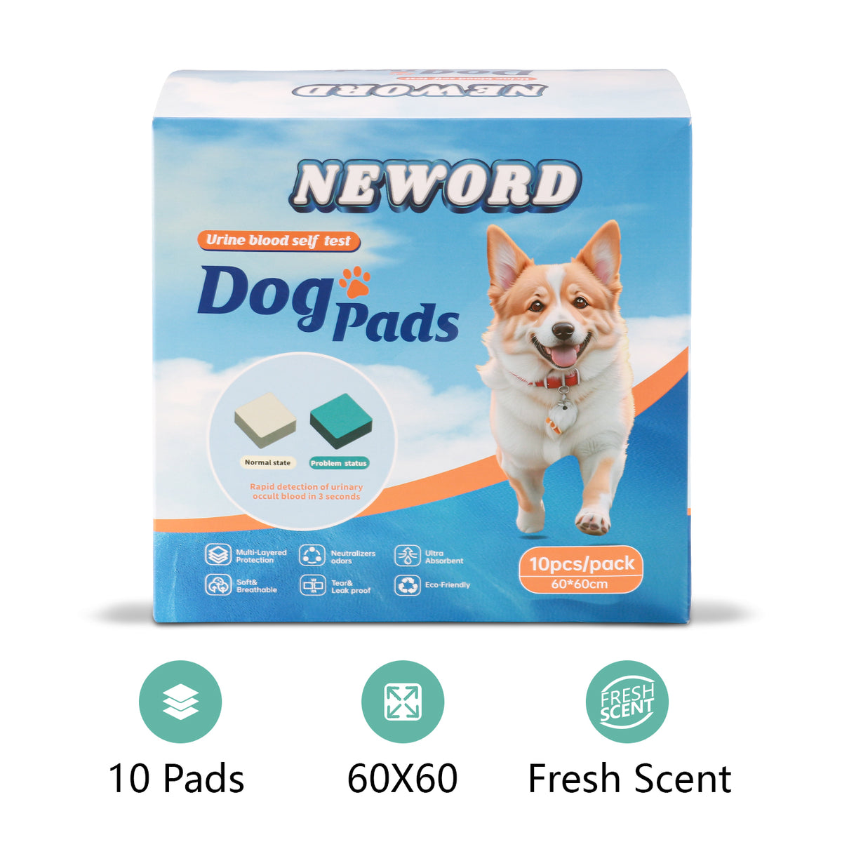 Dog Urine Detection Pad absorbent and leak-proof